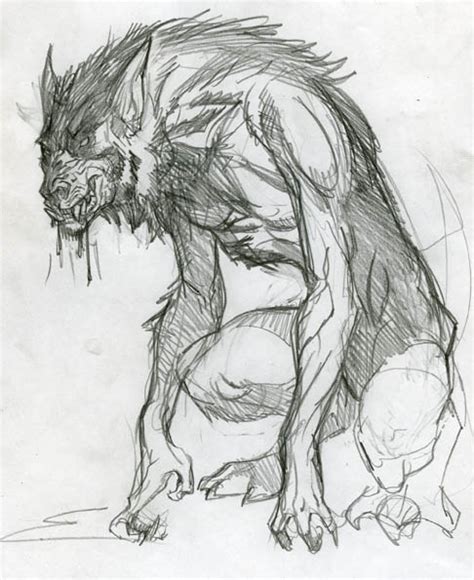 Werewolf Sketch by rayquazarider on DeviantArt