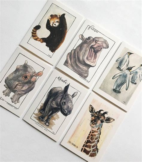 Cincinnati Zoo Animals 6 Pack Greeting Card Set | Etsy