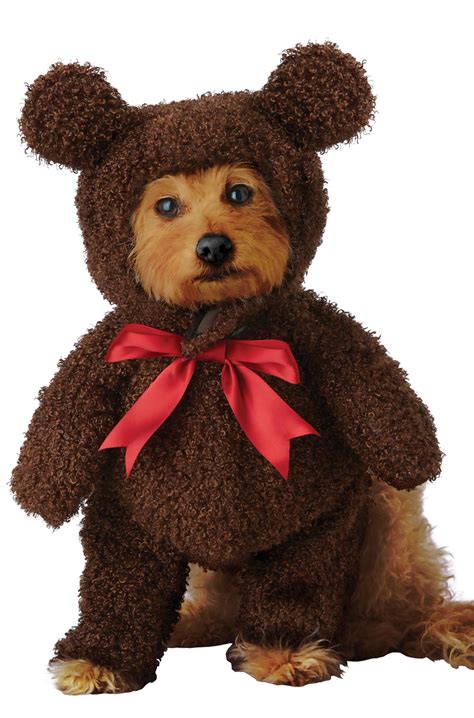 Sweet Teddy Bear Pet Costume - PureCostumes.com