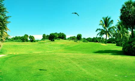 Red Reef Executive Golf Course | All Square Golf