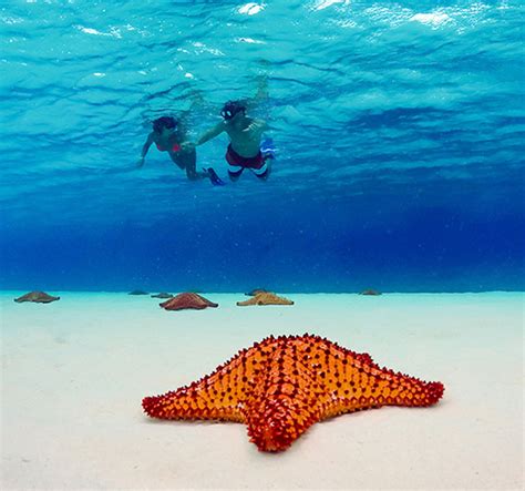 Cozumel Catamaran Snorkel Tour | Playa del Carmen, Mexico Excursions X