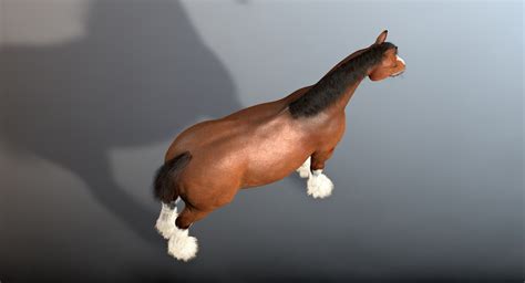 cinema4d clydesdale draft-horses