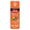 12 Oz Krylon K05532007 Pumpkin Orange COLORmaxx Paint & Primer Spray Paint, Gloss | Spray Paint ...