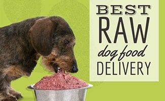 Best Raw Dog Food Delivery: Ship It Straight To Your Door – CanineJournal.com