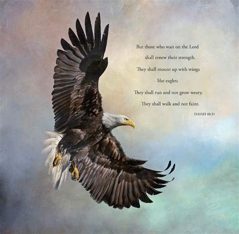 American Bald Eagle with Scripture Photograph by Angie Vogel - Pixels