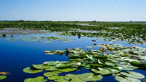 How To Visit The Danube Delta Romania With Danube Delta Tours