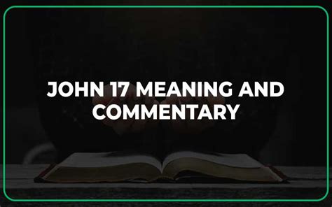 John 17 Meaning and Commentary - Scripture Savvy