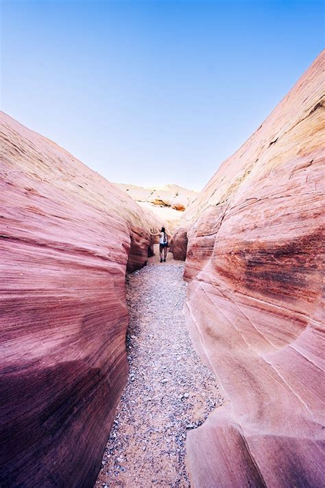 Pink Canyon: Valley of Fire's Incredible Hidden Gem - Uprooted Traveler