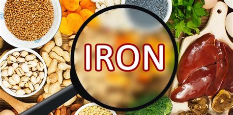 Iron-Rich Foods - Top Healthy Foods That Are High In Iron