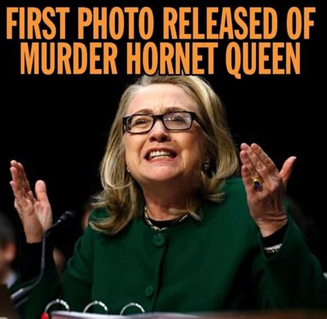 FIRST PHOTO RELEASED OF MURDER HORNET QUEEN - iFunny