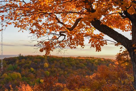 Fall Colours in Gatineau Park - Ottawa Wedding Photographers | NL ...