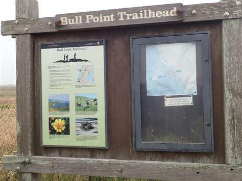 Bull Point – Marin = Hike