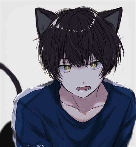 Cat boy anime illustration neko | Hình vẽ anime, Cosplay anime, Anime