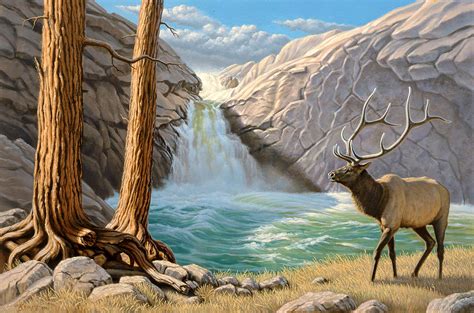 Rocky Mountain Elk Painting by Paul Krapf - Fine Art America