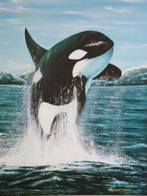 Killer Whales: Interesting and Fun Facts, Videos, Photos, and Links ...