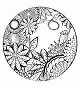 Coloring Pages Adult Sheets Sketch Page sketch template