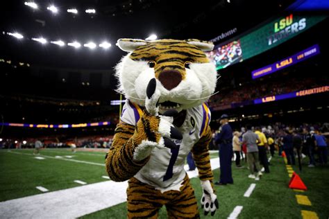 Tigers helping Tigers: LSU fan starts GoFundMe to purchase a new mascot ...