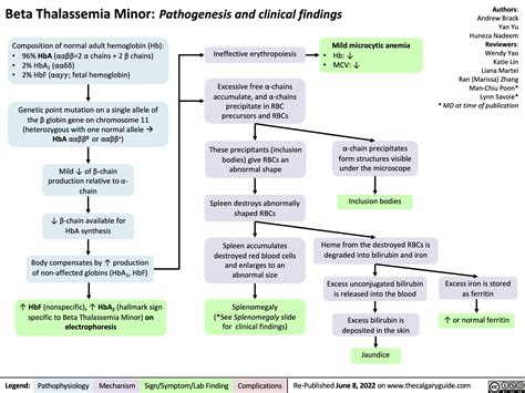 Thalassemia | Calgary Guide