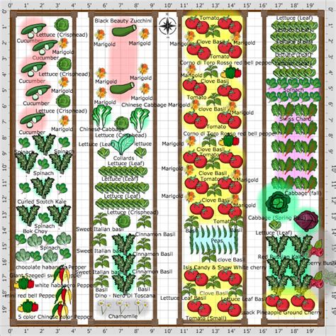 Garden Plan - 2014: 20x20 Garden