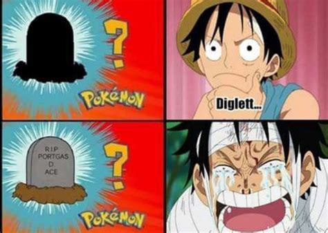 Memes One Piece | Memes, Pokemon one, Anime