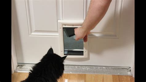 √ How to put a cat door in a hallow door | ann's blog