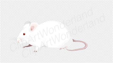 Albino White Lab Mouse Clipart Balb/c Mouse Clipart | Etsy