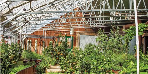 9 Things to Consider When Building Your Own Greenhouse