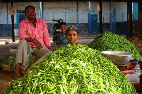 Hyderabad Old City Food Walking Tour: Triphobo