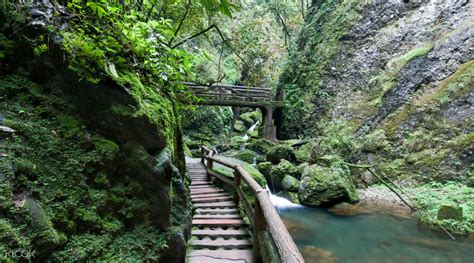 Dujiangyan & Mt. Qingcheng 1 Day Tour