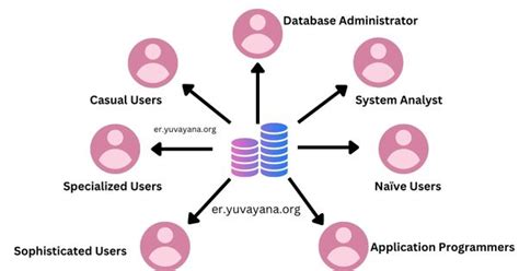 Types of Users in Database | Engineer's Portal