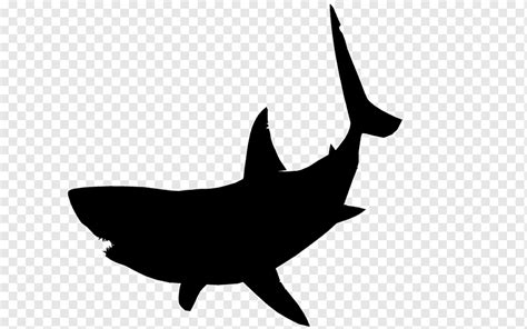 Silhueta do grande tubarão branco, TUBARÃO DO BEBÊ, mamífero marinho, animais, fotografia png ...