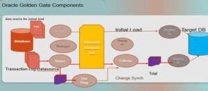 Oracle Golden Gate | Why Use Oracle Golden Gate with Architecture?
