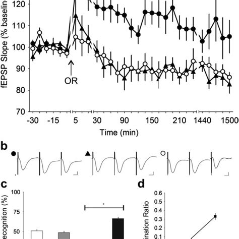 Localization of spatial memory in the human memory system. Declarative... | Download Scientific ...