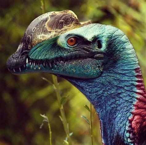 a close up of a bird with a turtle on it's head