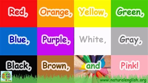 UTS ENGLISH 2: TOO/VERY-COLORS-GREEN HOUSE: CLASS REVIEW + EXERCISES