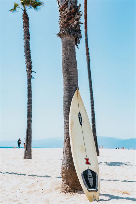 Surfing Tips for Beginners - Family Budgeting