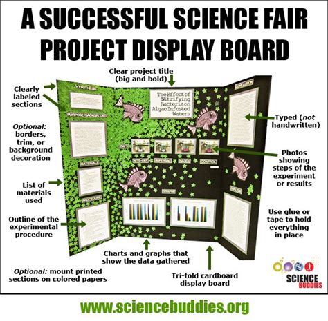 Mastering the Project Display Board | Science Buddies Blog | Science fair projects, Science fair ...