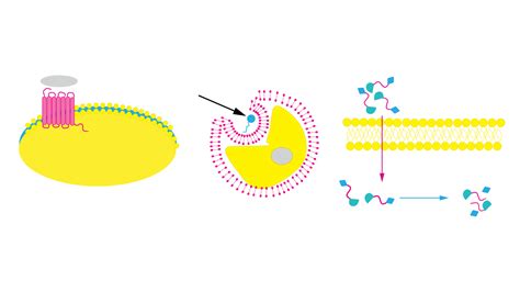 Advancements and Technologies Driving Peptide Drug Design and Development