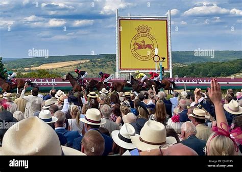 Goodwood Race track Stock Photo - Alamy