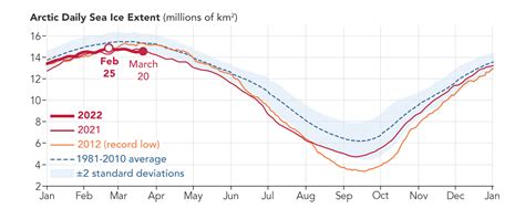 Arctic Sea Ice is More Modest than Maximal