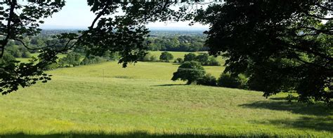 Welcome to Goose Green Farm | Bed & Breakfast in Cheshire