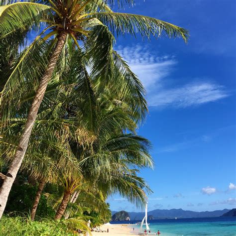 Pangulasian Island Beach in El Nido | Expedia.co.uk