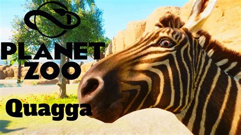 Quagga Habitat Planet Zoo Modded Speed Build - YouTube