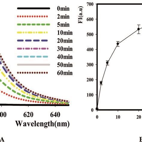 Kinetic study of DNase I (A) time scan results of the reaction with ...