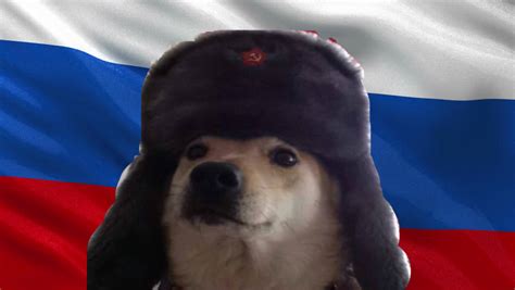 Russian Doge | Doge, Doge meme, Russians