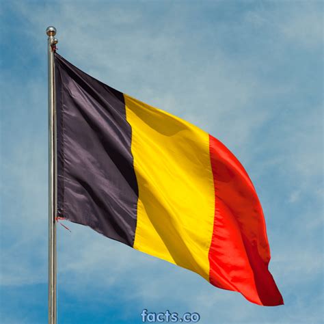 Flag Of Belgium - The Symbol Of Independence. Pictures & Ima