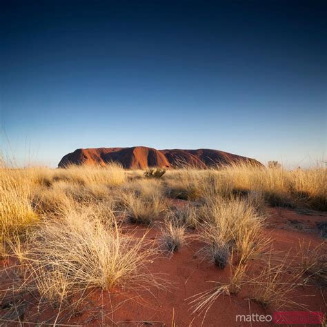 - Uluru at night with the moon in sky Australia | Royalty Free Image