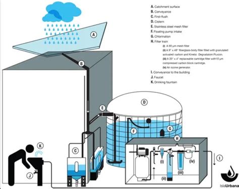 Rainwater Harvesting Design