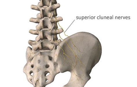 Cluneal Nerve Blockade | PainMedSA