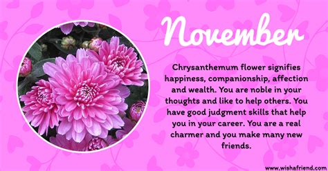 Your Birth Flower is November